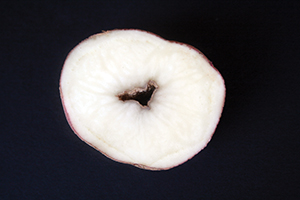 Boron deficiency in potatoes can cause problems such as internal brown spots and centres, hollow heart, and black spots.