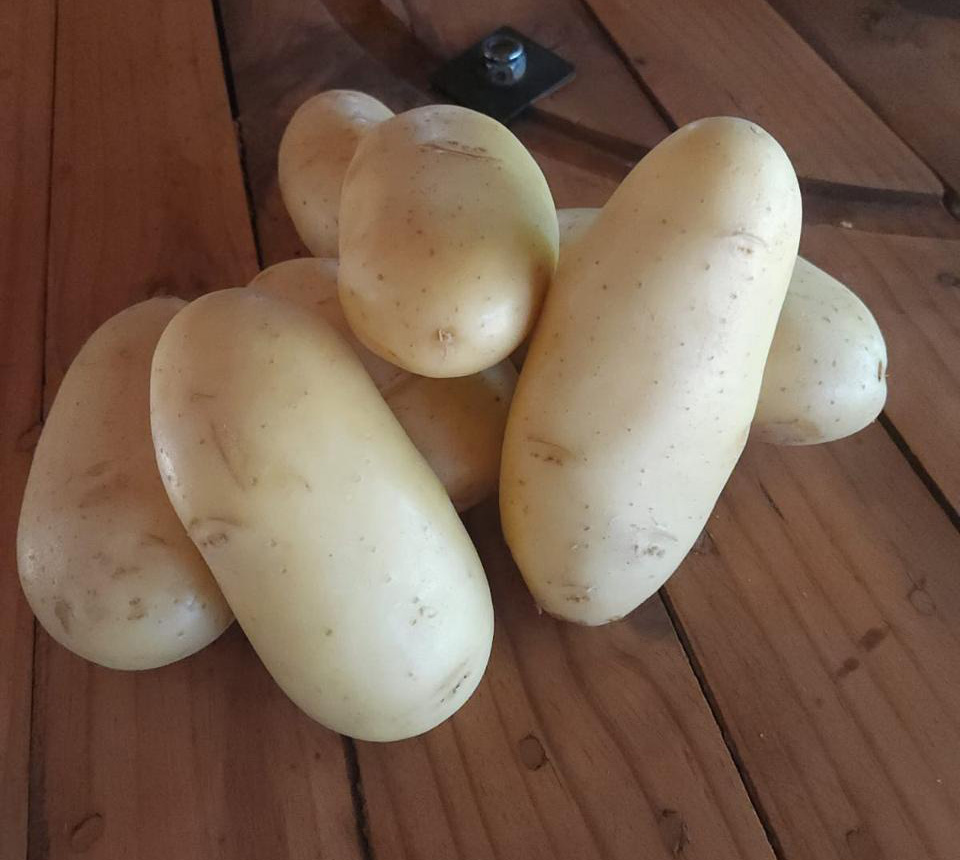 NUWE sound-potato