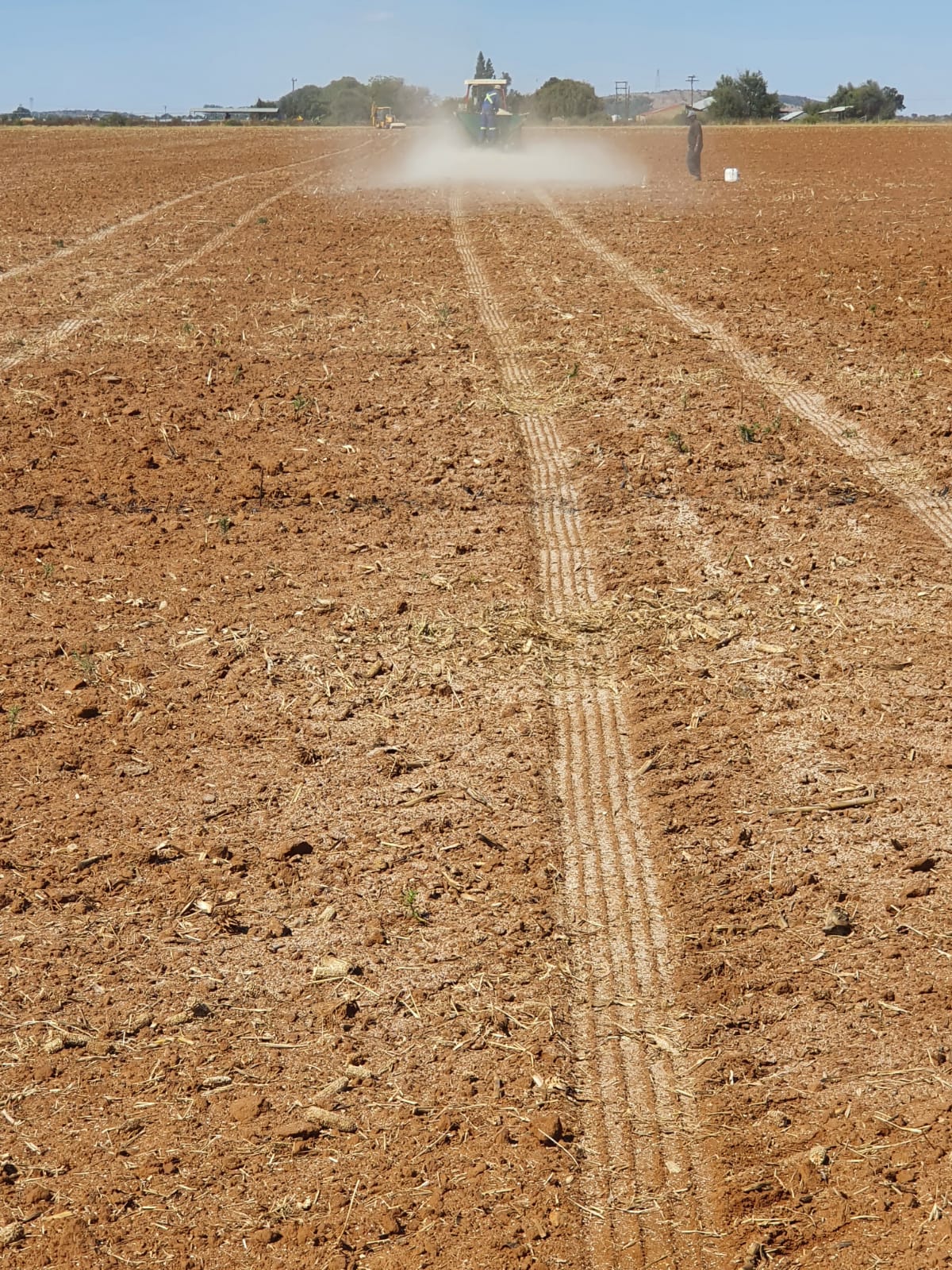 Strooi-Kalk-voor-aanplanting